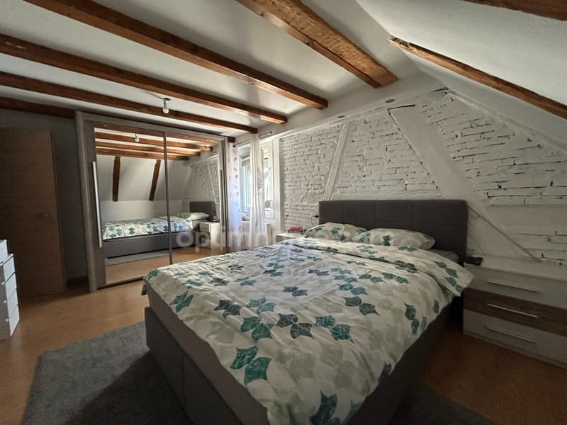 SAINT-LOUIS, 7min à pied frontière, jolie maison de ville de 139.64m² (11)