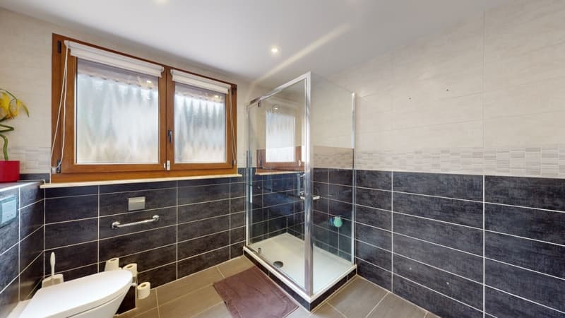 Maison à vendre 4 pièces LONGLAVILLE (54) (8)