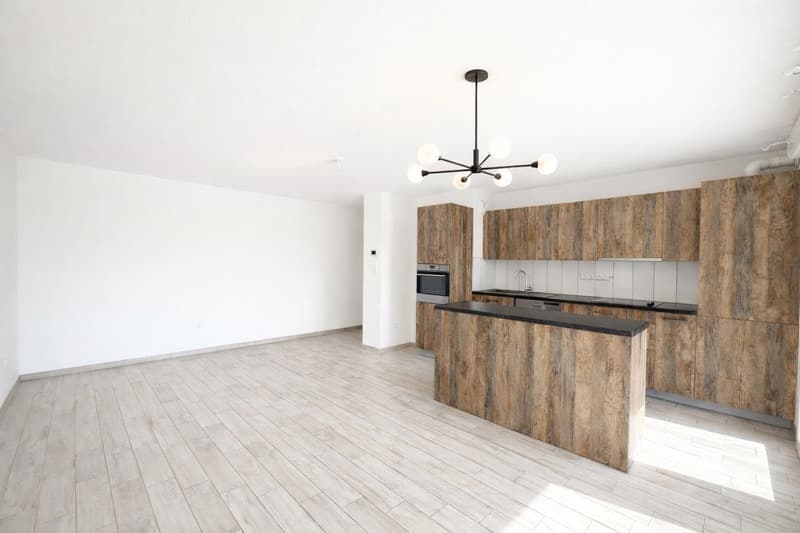 SUPERBE T3 RDJ-extérieur 76 m² - Saint-Louis proche frontière (3)