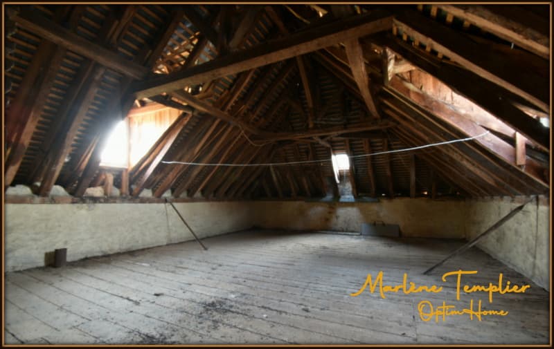 Propriété d'exception  - Fort potentiel - Gîtes / Événementiel - 8 000 (9)