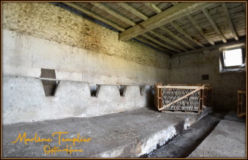 Propriété d'exception  - Fort potentiel - Gîtes / Événementiel - 8 000 (13)