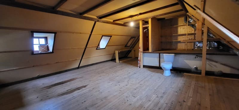 Propriete à vendre 10 pièces VIELLE LOURON (65) (7)