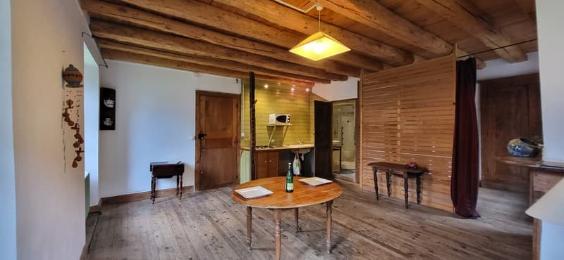 Propriete à vendre 10 pièces VIELLE LOURON (65) (10)