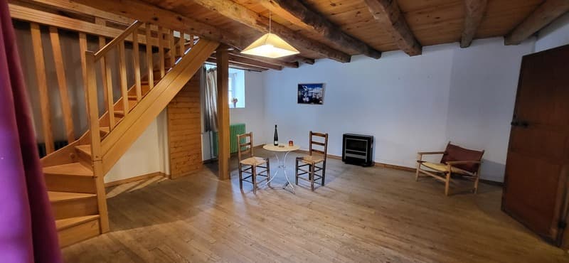 Propriete à vendre 10 pièces VIELLE LOURON (65) (4)