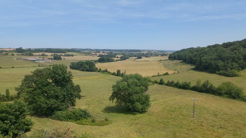 Maison en pierres 210 m² avec dépendances SAINTE COLOMBE DE DURAS (1)