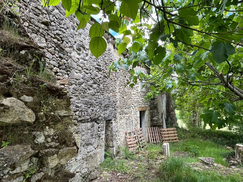 Maison en pierres 210 m² avec dépendances SAINTE COLOMBE DE DURAS (9)