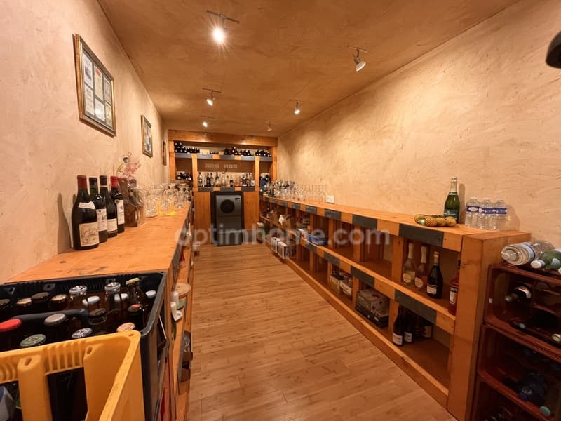 Propriété rare, sur 5900m², 2 habitations 500m², 2 étangs, un espace (4)