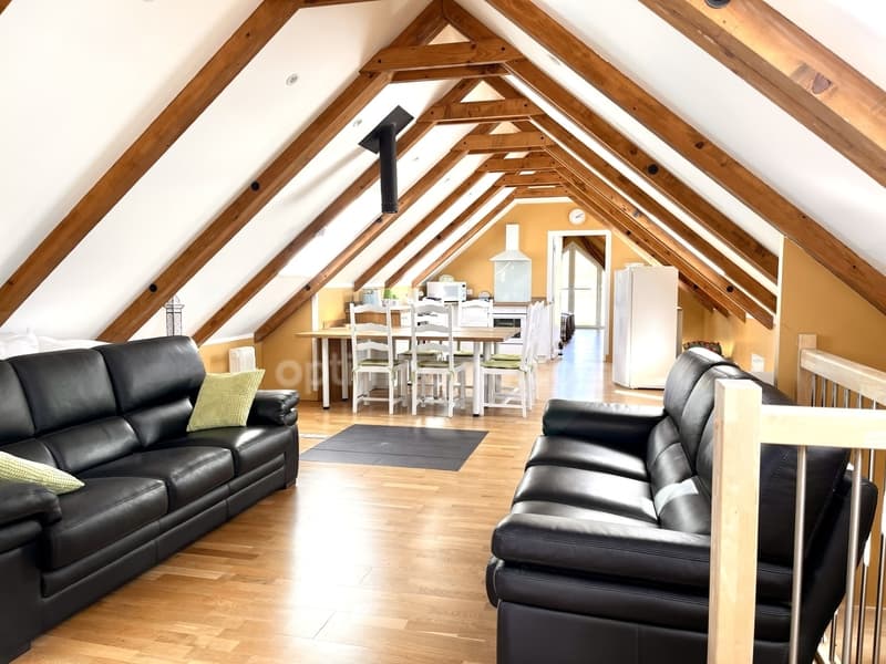 Propriété rare, sur 5900m², 2 habitations 500m², 2 étangs, un espace (13)