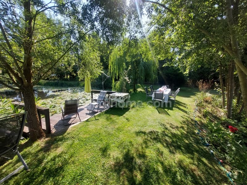 Propriété rare, sur 5900m², 2 habitations 500m², 2 étangs, un espace (7)