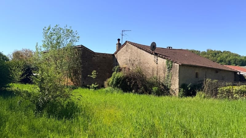 Villecloye maison 3 chambres avec grange, atelier, garage et beau (9)