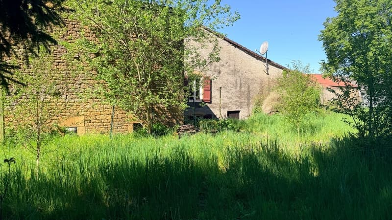 Villecloye maison 3 chambres avec grange, atelier, garage et beau (2)
