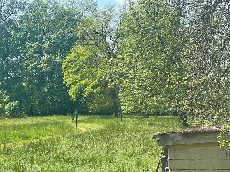 Maison de maître d'exception sur 1,6 hectare de terrain- (12)