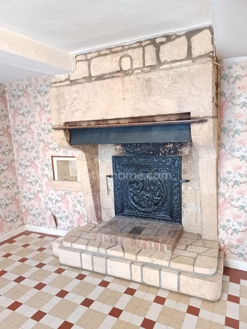 Maison à vendre en exclusivité!! 3 chambres, jardin et garage à QUINCY (8)