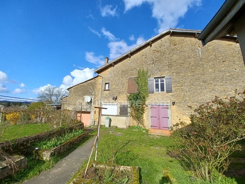 Maison à vendre en exclusivité!! 3 chambres, jardin et garage à QUINCY (3)