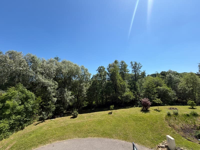Duplex d'exception aux portes de la Suisse - Terrasse, jardin, vue (2)