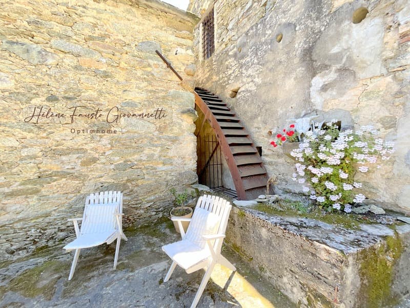 Ancien Moulin en Pierre avec dépendances sur près de 2,3 hectares - (7)