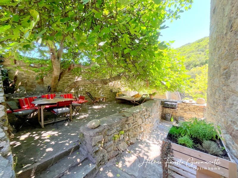 Ancien Moulin en Pierre avec dépendances sur près de 2,3 hectares - (8)