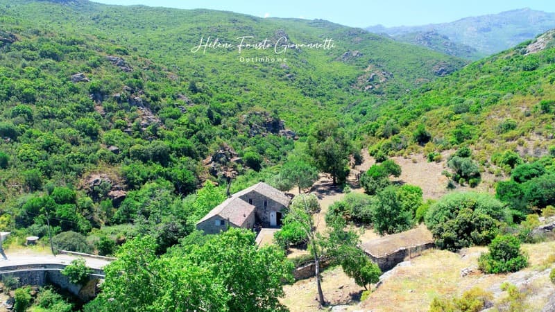 Ancien Moulin en Pierre avec dépendances sur près de 2,3 hectares - (11)