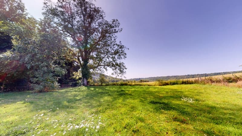 Maison à vendre 5 pièces BAZEILLES SUR OTHAIN (55) (8)
