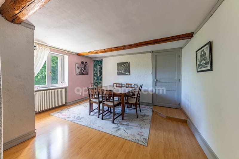 A vendre Authentique propriété de caractère avec gîte indépendant à (11)