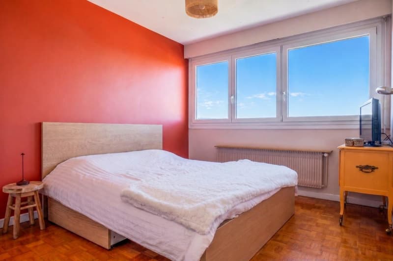 Attique traversant - Vue panoramique Mont-Blanc & Jura - 101 m² - (6)