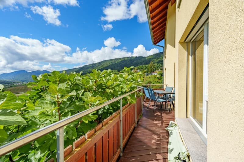 Magnifique villa d'architecte de 7.5 pièces à 7 minutes de Grandson (13)