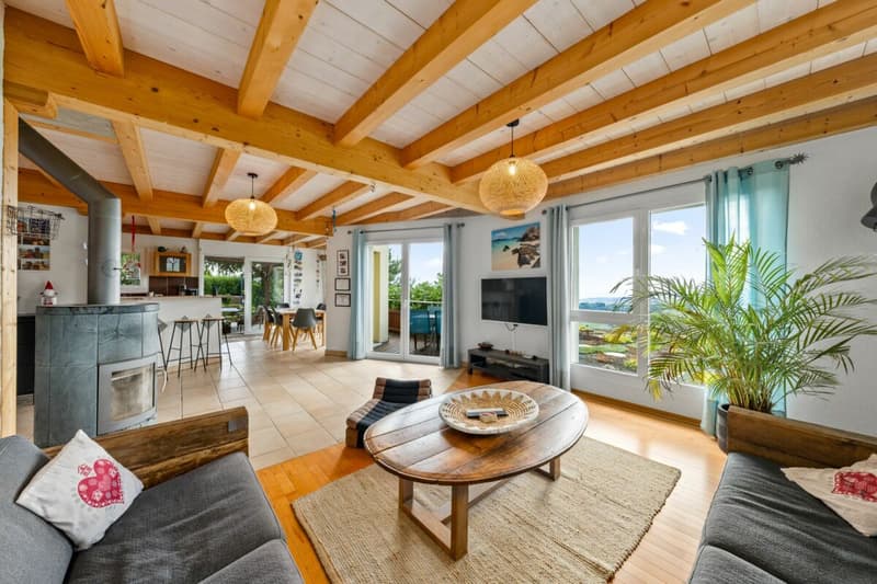 Magnifique villa d'architecte de 7.5 pièces à 7 minutes de Grandson (2)