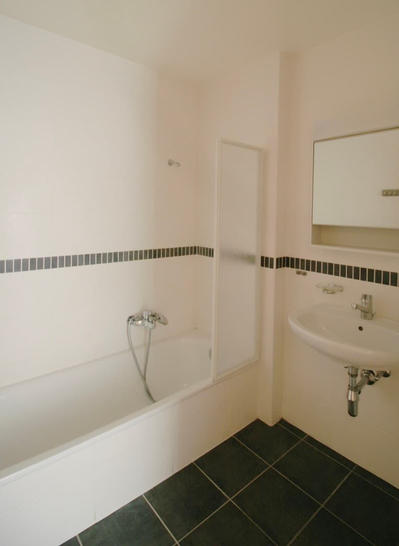 Appartement renové ! (7)