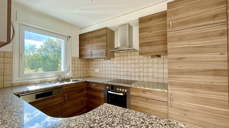 Appartement renové ! (6)