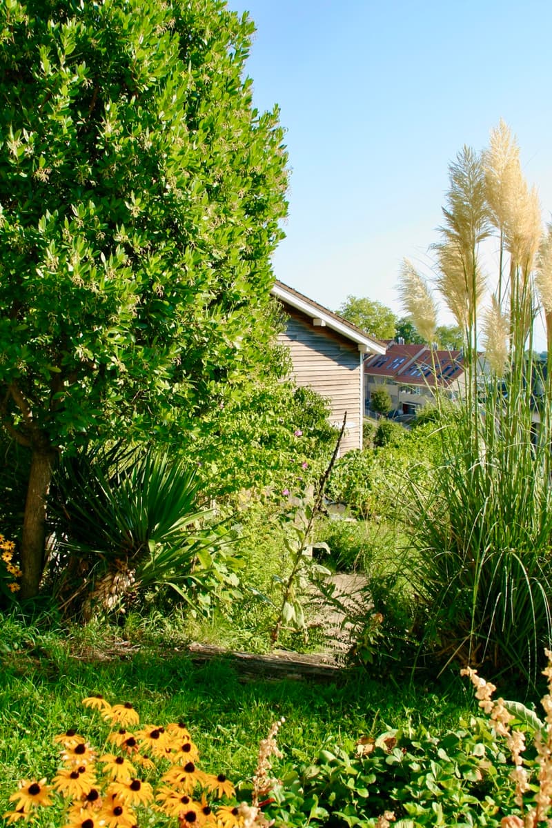 Vue lac et basse consommation ! (6)