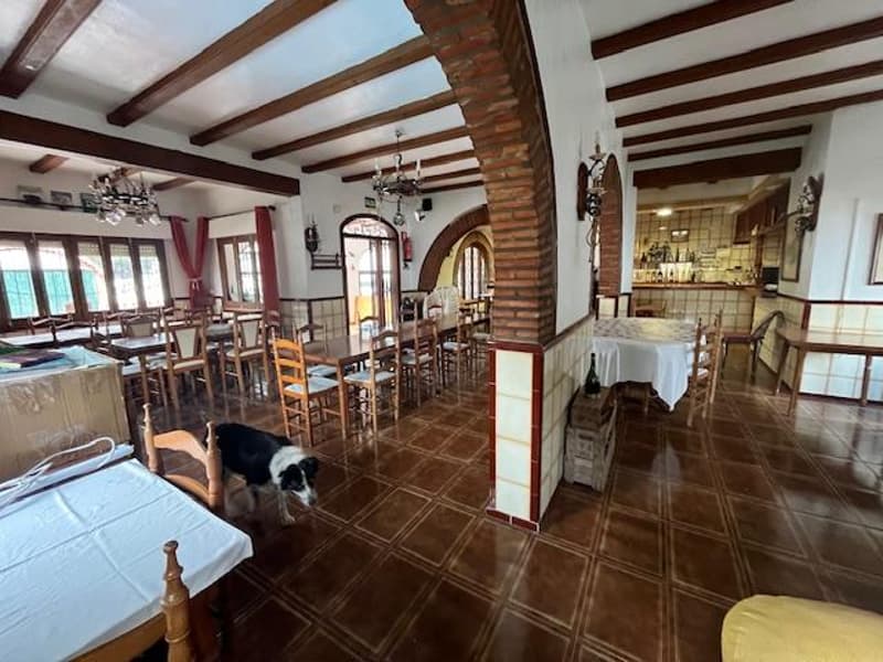Bien rare : maison de charme avec ancien restaurant, appartement indépendant, jardin, piscine et cuisine d'été (5)