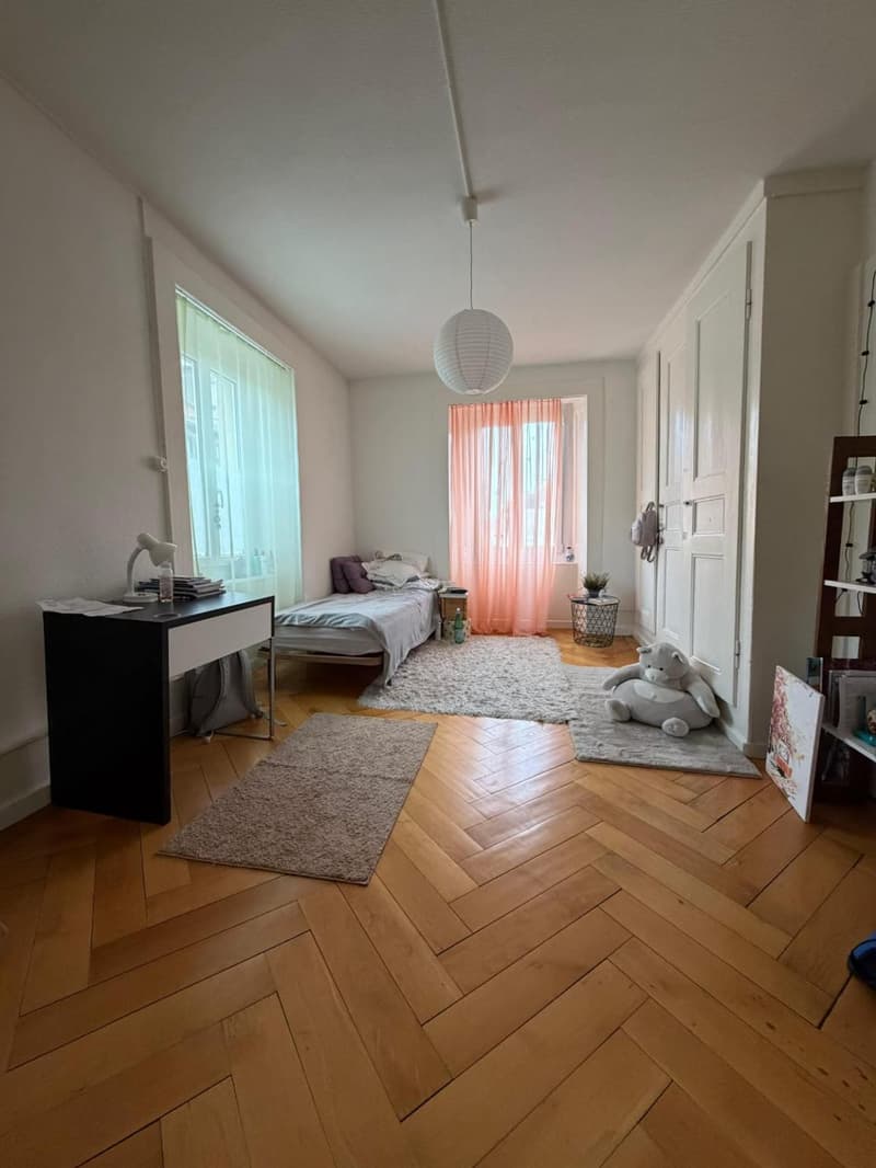 Lot d'un Immeuble de rendement avec deux parcelles de terrain constructibles au Locle(NE) (4)