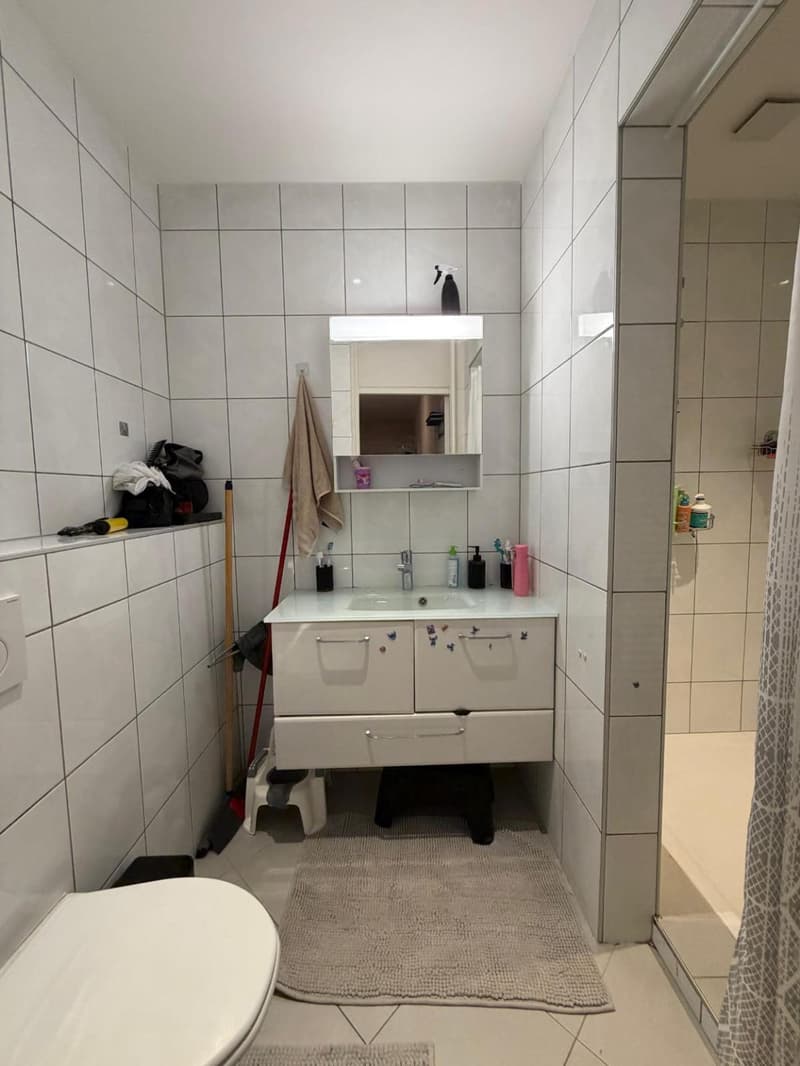 Lot d'un Immeuble de rendement avec deux parcelles de terrain constructibles au Locle(NE) (7)