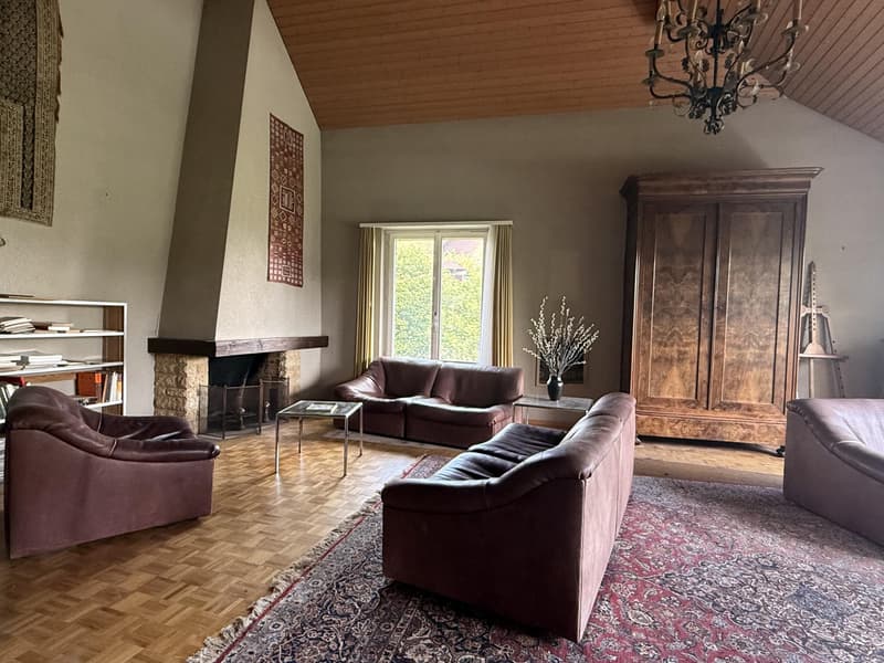 Villa d'architecte avec piscine chauffée, Kirchlindach, à 10 min de Berne EN EXCLUSIVITÉ (5)