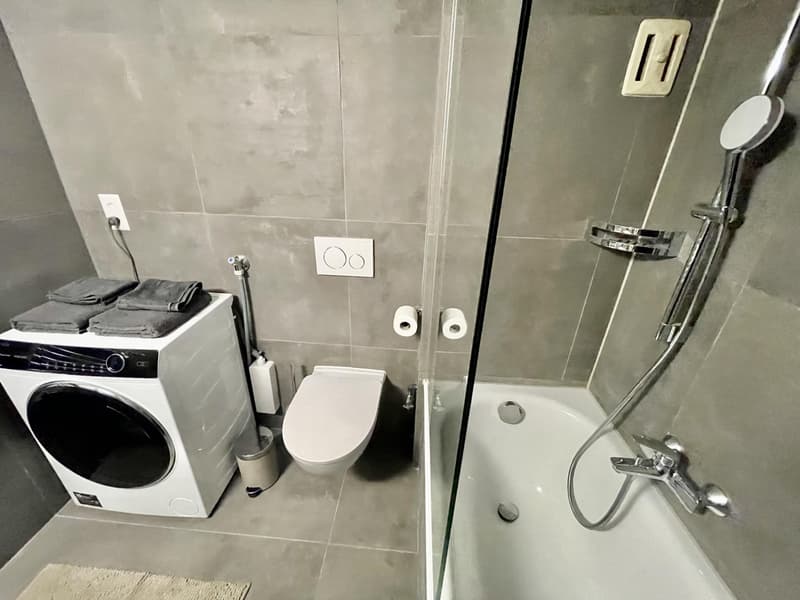 Studio meublé à louer ? Nyon, Rue de Rive 53 vue lac au 4e étage (7)