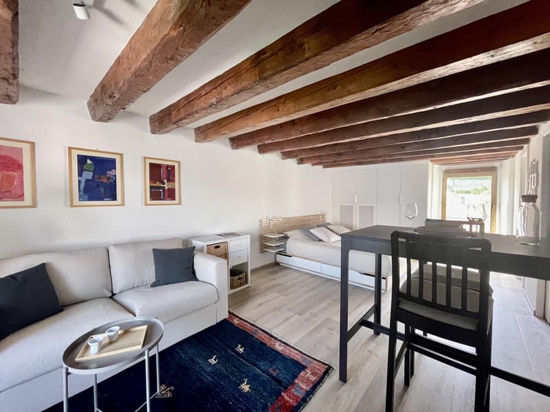 Studio meublé à louer ? Nyon, Rue de Rive 53 vue lac au 4e étage (5)
