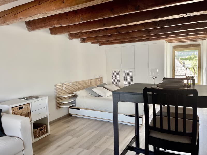 Studio meublé à louer ? Nyon, Rue de Rive 53 vue lac au 4e étage (2)