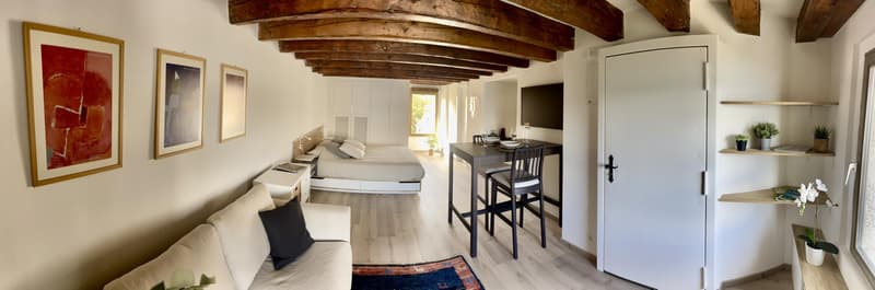 Studio meublé à louer ? Nyon, Rue de Rive 53 vue lac au 4e étage (11)