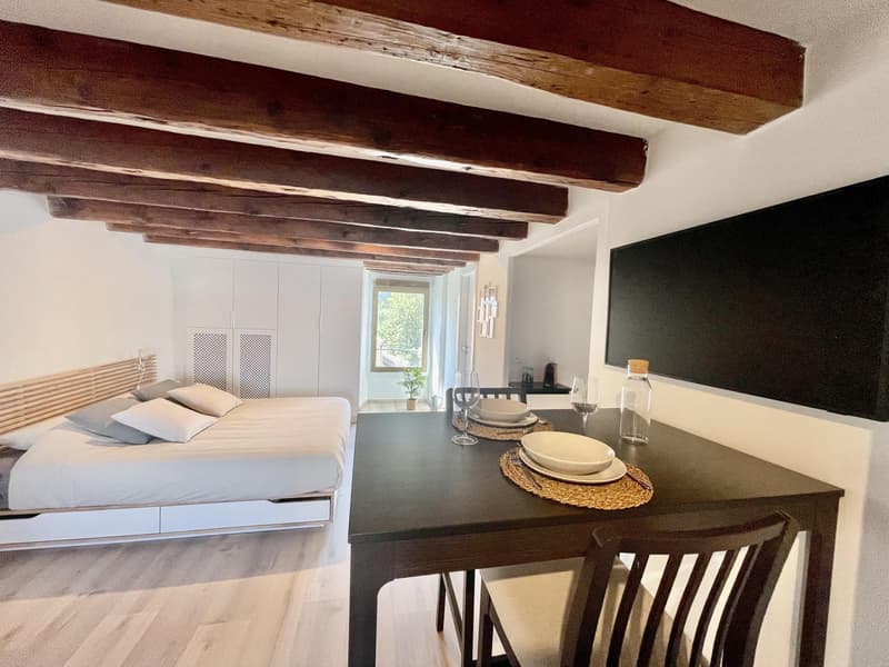 Studio meublé à louer ? Nyon, Rue de Rive 53 vue lac au 4e étage (9)