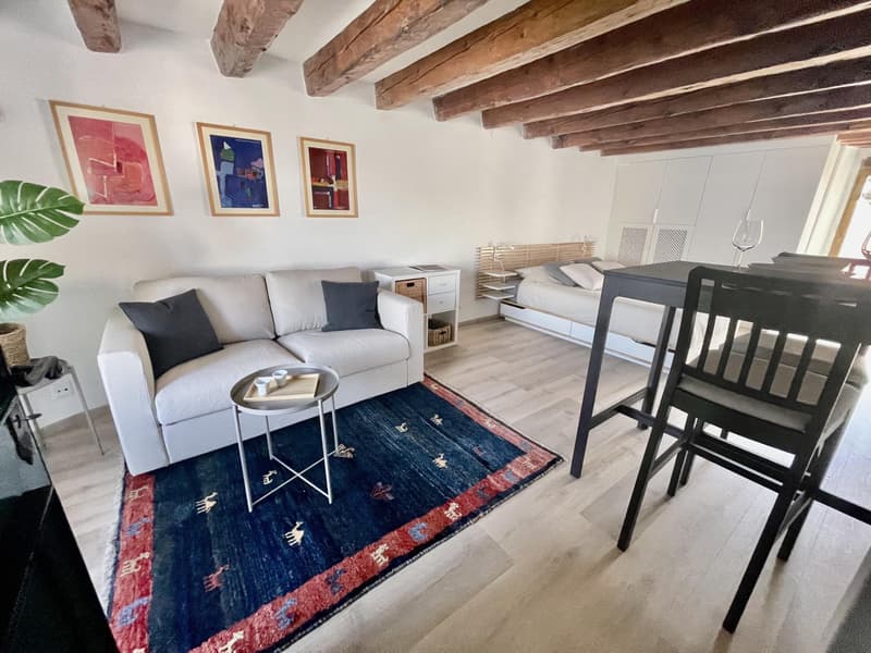 Studio meublé à louer ? Nyon, Rue de Rive 53 vue lac au 4e étage (3)