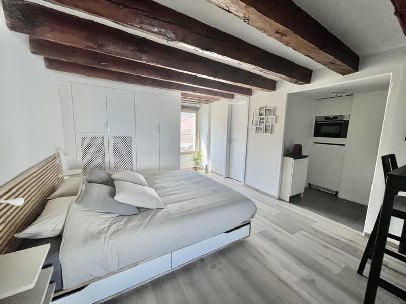 Studio meublé à louer ? Nyon, Rue de Rive 53 vue lac au 4e étage (1)