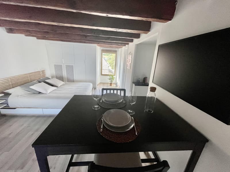 Studio meublé à louer ? Nyon, Rue de Rive 53 vue lac au 4e étage (13)