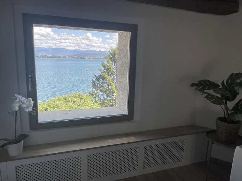 Studio meublé à louer ? Nyon, Rue de Rive 53 vue lac au 4e étage (10)