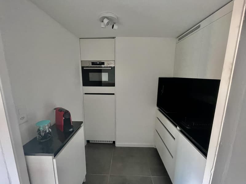 Studio meublé à louer ? Nyon, Rue de Rive 53 vue lac au 4e étage (6)