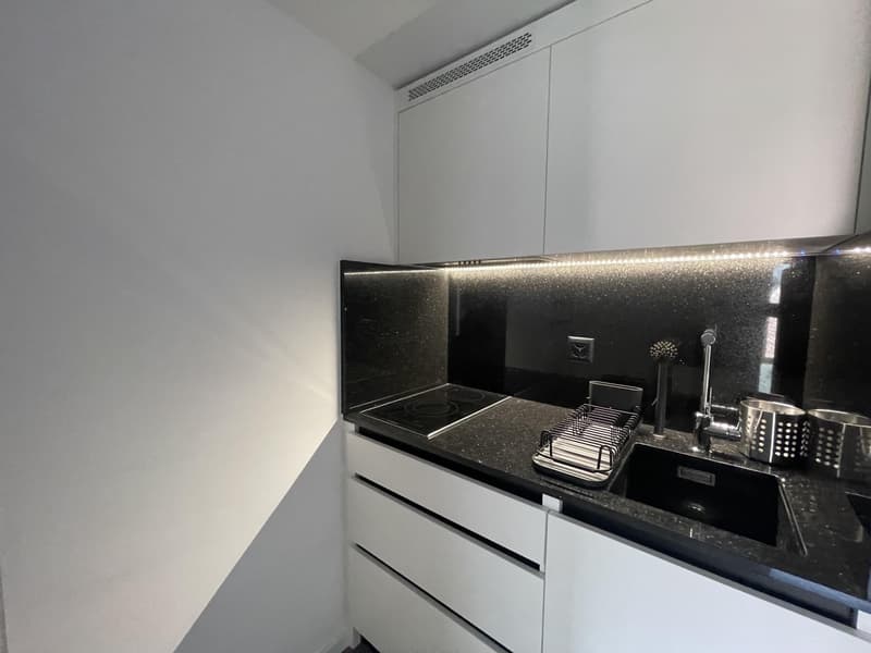 Studio meublé à louer ? Nyon, Rue de Rive 53 vue lac au 4e étage (4)