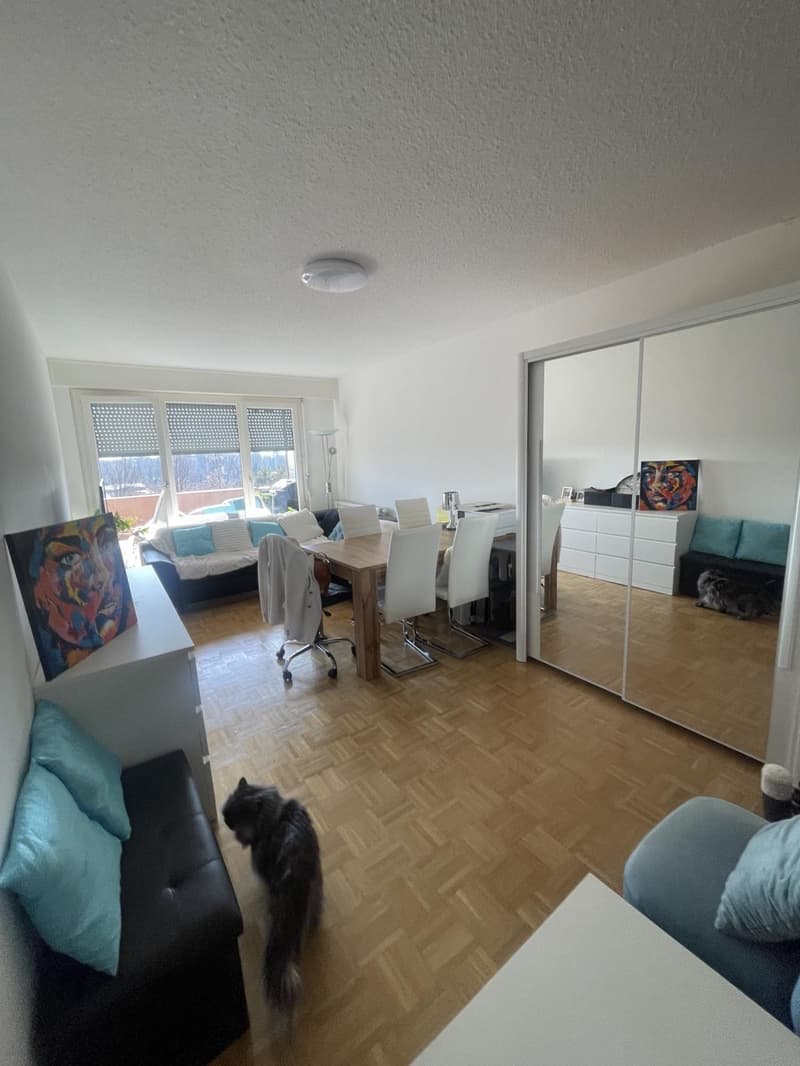 Magnifique appartement 3,5 pièces à vendre ? Gland VENDU avec locataire 078 403 10 20 (5)