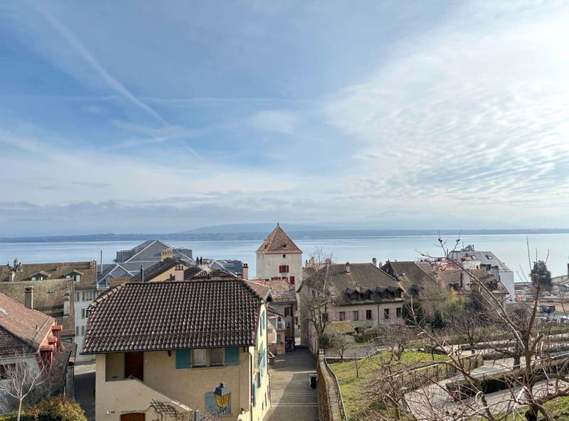 Studio meublé à louer ? Nyon, Rue de Rive 53 vue lac au 4e étage disponible le 2/11/2026 (1)