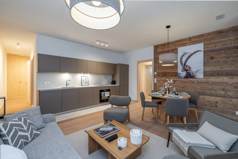 Lot 5 - Appartement disponible cet hiver dans la Résidence (6)