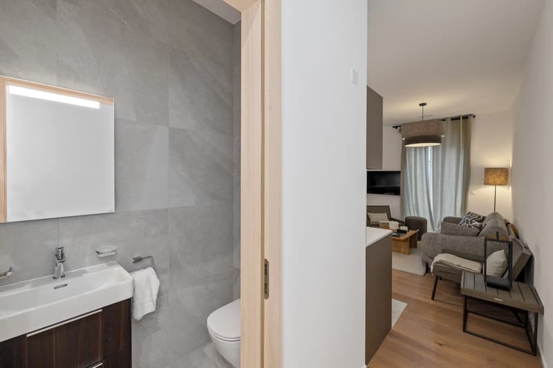 Lot 5 - Appartement disponible cet hiver dans la Résidence (8)