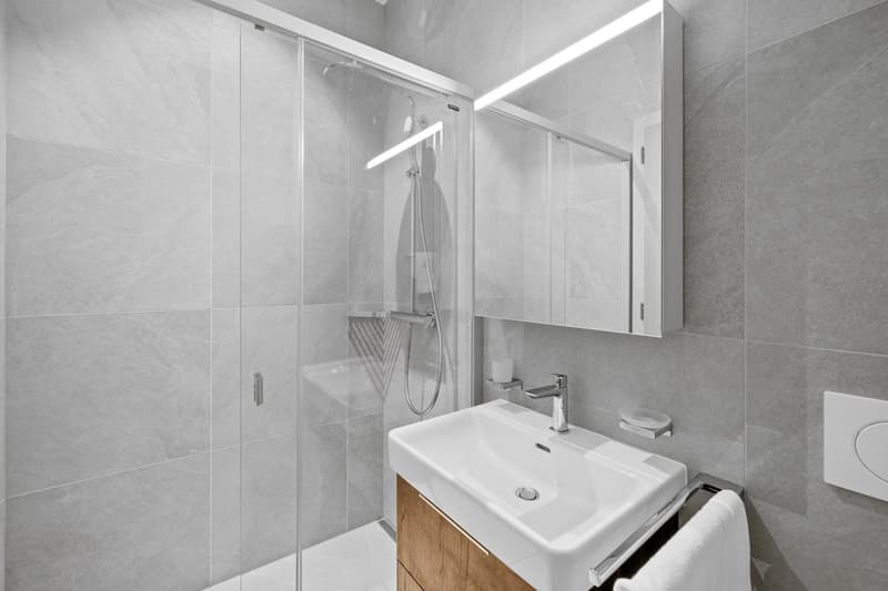 Lot 5 - Appartement disponible cet hiver dans la Résidence (4)